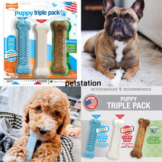 Nylabone Triple Pack ของเล่นขัดฟันสัตว์เลี้ยง