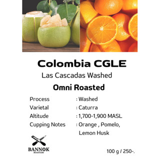 เมล็ดกาแฟคั่ว Columbia CGLE Las Cascadas Washed