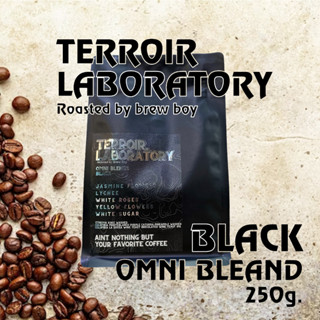 Terroir Lab. by Brew Boy เมล็ดกาแฟคั่ว BLACK ขนาด 250 กรัม