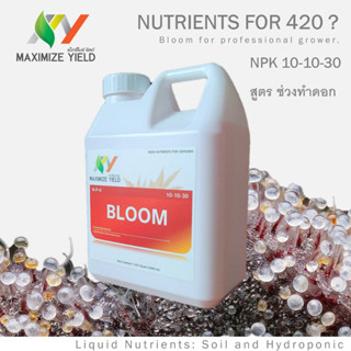 BLOOM Fertilizer ปุ๋ยกัญชา NPK 10-10-30 เพิ่มความหนาแน่นช่อดอกเร่งผลิตไตรโคมสำหรับพืชสมุนไพร 1L