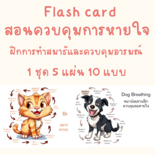 Flash card แฟรชการ์ด ฝึกสมาธิควบคุมมหายใจ เสริมพัฒนา