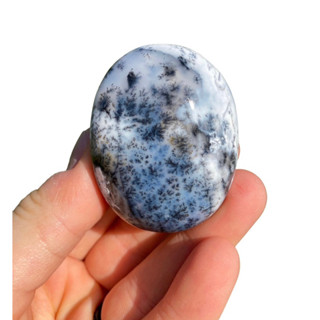 1 PC Dendritic Opal Palm Stone (~1.25" - 2.5") - Polished Dendritic Opal Crystal - Tumbled Merlinite Worry Stone -