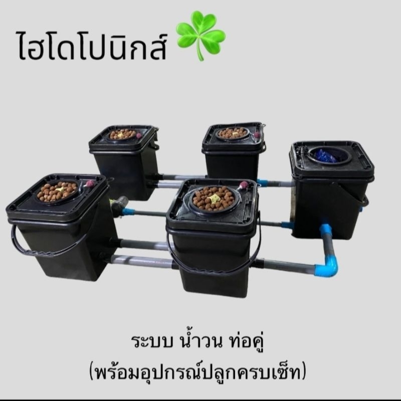 Hydroponics(MC),RDWC ถังปลูกพืชไร้ดิน ไฮโดรโปนิกส์ระบบ Recircuting Deep Water Culture