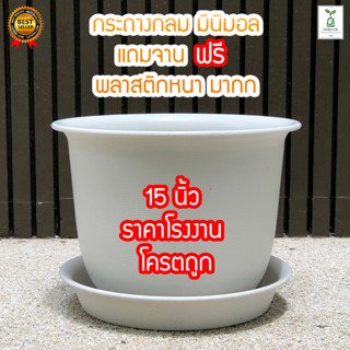 กระถางต้นไม้ พลาสติก สีขาว ทรงกลม 15นิ้ว ฟรีจานรอง