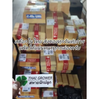 ร้านไทย ส่งไว (ขายส่ง!! ยกกล่อง 24 ชิ้น) Plastic Grinder ที่บดสมุนไพร 60MM เครื่องบดสมุนไพร ที่บดพลาสติก