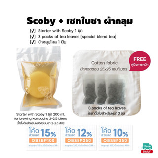 Scoby ชุดหมักคอมบูชา 2 ลิตร พร้อม ใบชาออร์แกนิค แถมผ้าคลุมโหล