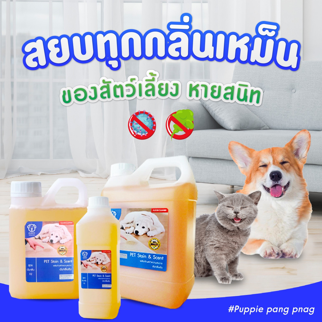 Pang pang ผลิตภัณฑ์กำจัดกลิ่นสัตว์เลี้ยง