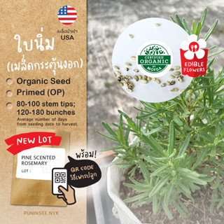 เมล็ดนำเข้า โรสแมรี่ ใบนิ่ม Rosemary (Organic Seed) Herb เมล็ดกระตุ้นงอก เพาะง่าย สมุนไพรฝรั่ง