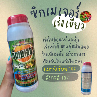 ซิกเนเจอร์ (แมกนีเซียม+สังกะสี)เร่งเขียว เข้าสี 1 ลิตร