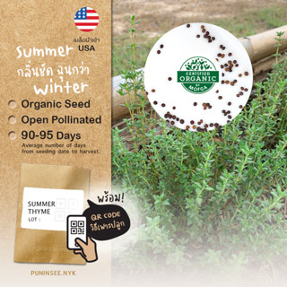 เมล็ดสมุนไพรนำเข้า ซัมเมอร์ไธม์ Summer Thyme (Organic Seed) ไทม์ Herb สมุนไพร​ฝรั่ง​