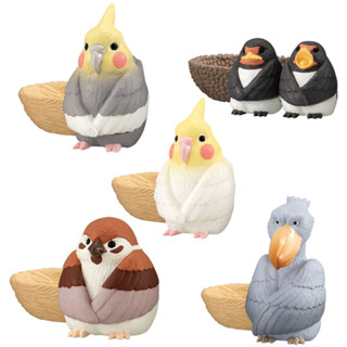 ✅Still wating for you birds2 bandai mini figures Gashapon🇯🇵โมเดล กาชาปอง นก กล่องครบ ฟิกเกอร์เล็กน่ารัก