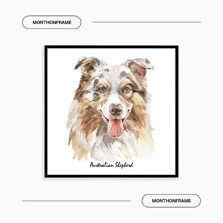 รูปภาพติดผนัง ภาพวาดตกแต่งบ้าน ภาพวาด Australian Shepherd พร้อมกรอบและติดที่แขวนเรียบร้อย