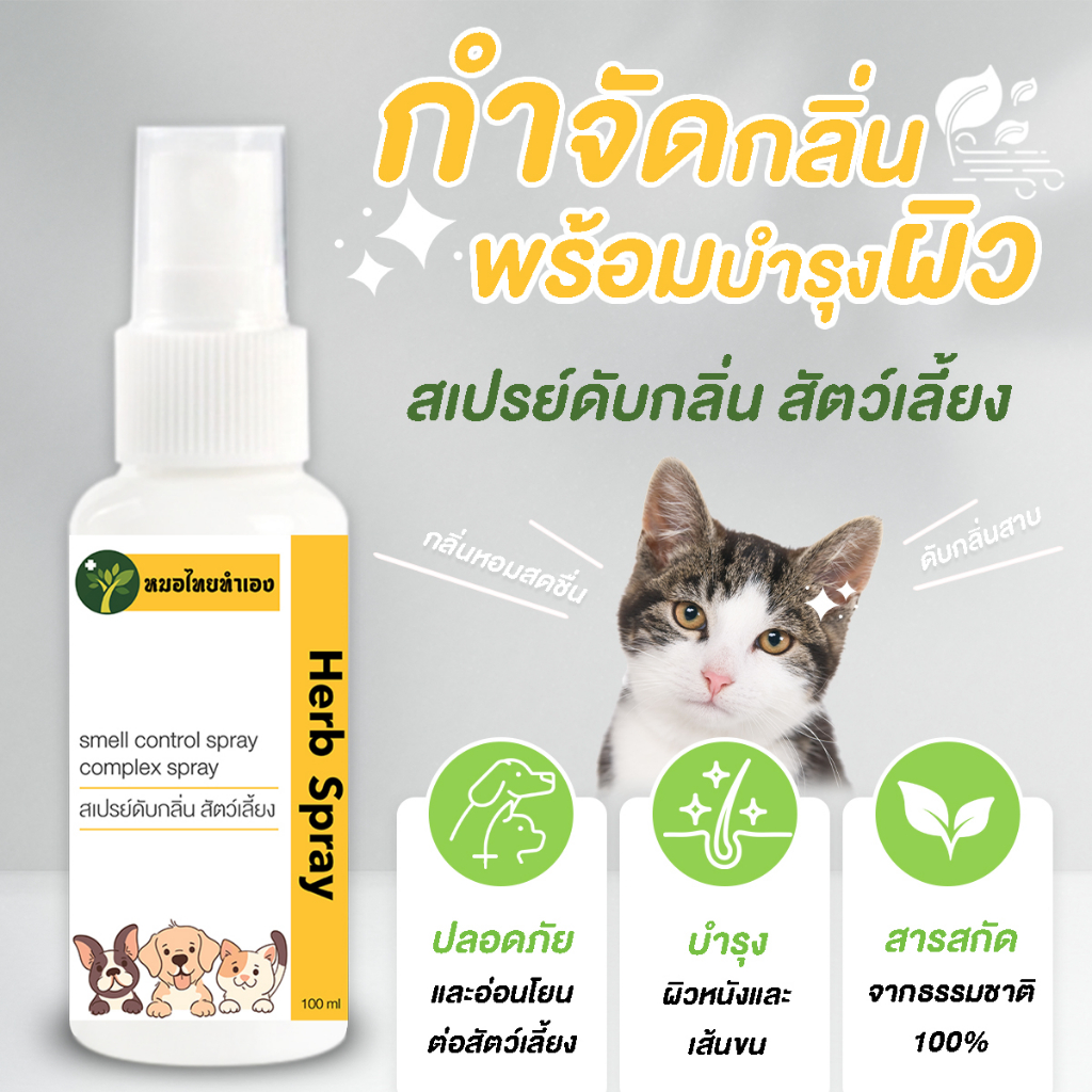 รูปภาพ 2