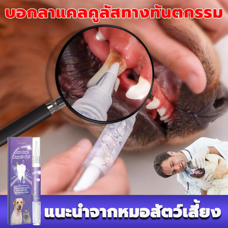 แนะนำจากหมอสัตว์เสี้ยง ชุดแปรงทำความสะอาดฟันสัตว์เลี้ยง ขจัดฟันคราบพลัคแคลคูลัสทันตกรรมใช้ได้ทั้งแมวและสุนัข