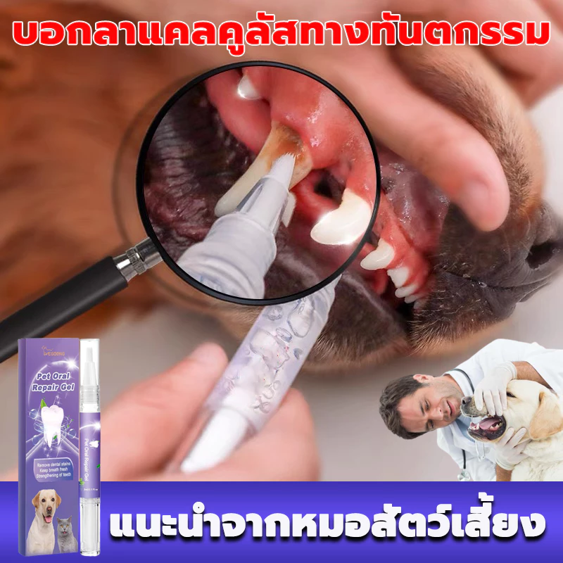 แนะนำจากหมอสัตว์เสี้ยง ชุดแปรงทำความสะอาดฟันสัตว์เลี้ยง ขจัดฟันคราบพลัคแคลคูลัสทันตกรรมใช้ได้ทั้งแมวและสุนัข