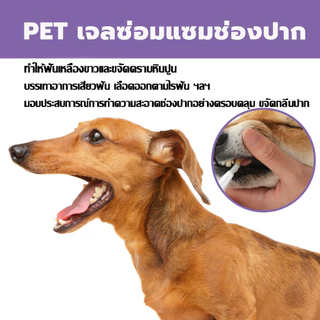 แนะนำจากหมอสัตว์เสี้ยง ชุดแปรงทำความสะอาดฟันสัตว์เลี้ยง ขจัดฟันคราบพลัคแคลคูลัสทันตกรรมใช้ได้ทั้งแมวและสุนัข