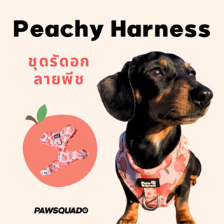 PAWSQUAD Peachy Harness | ชุดรัดอกสุนัขแมว สายรัดอกหมา สายรัดอกแมว แบบปรับได้ ระบายอากาศดี