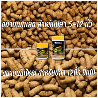 อาหารปลามังกร สีทอง,สีเงิน Ocean Nutrition Arowana Gold