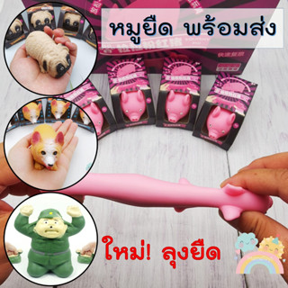 [COD] หมูยืดดดด สกุชชี่ พร้อมส่งจากไทย ราคาถูก ของเล่นเด็กและผู้ใหญ่คลายเครียด