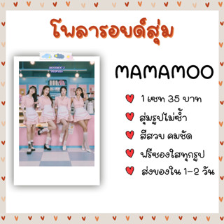 พลารอยด์สุ่ม - MAMAMOO