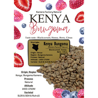 🚚พร้อมส่ง💯 เมล็ดกาแฟดิบ Kenya Bungoma Natural process/ เมล็ดกาแฟนอก/เมล็ดกาแฟสาร เคนย่า