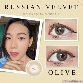 คอนแทคเลนส์  RUSSIAN VELVET​ Olive✨ ยี่ห้อ GAEZZ ; Color Olive ( คาสสายตา 50 - 700 )