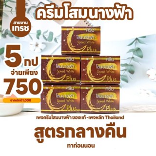 คละ5ชิ้น (ครีมโสมนางฟ้า)กลางคืน5