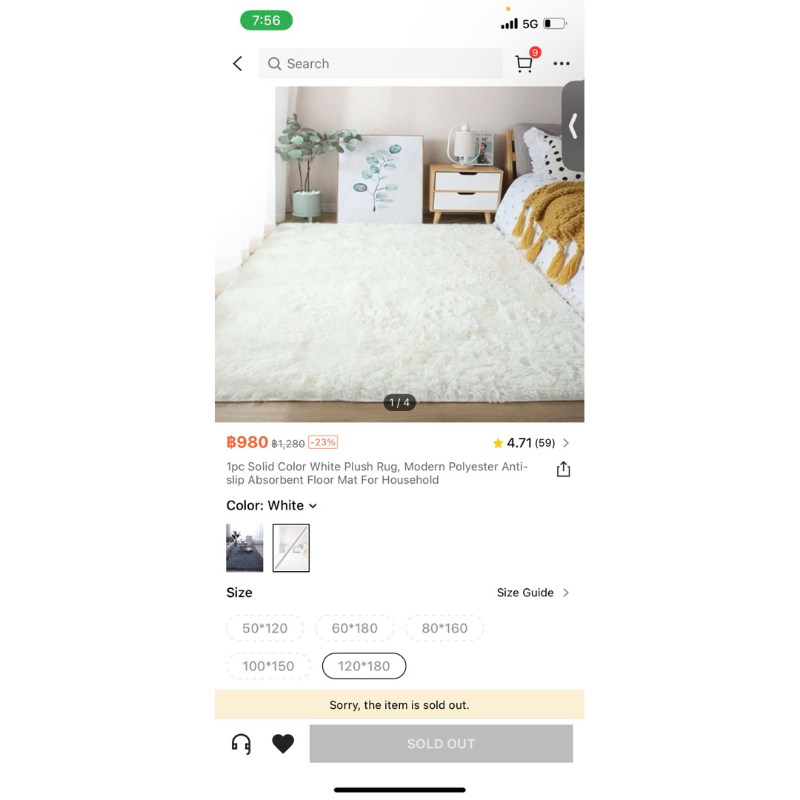carpets and rugs with a clothing rack.