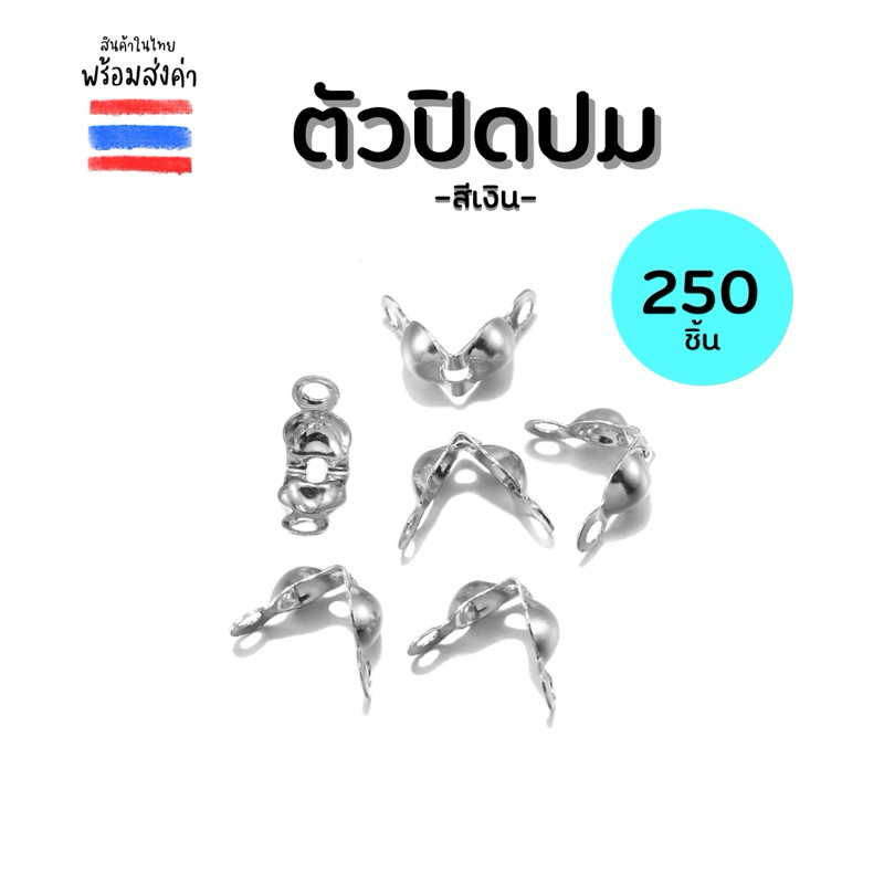 ตัวปิดปม 250 ชิ้น (TS08)