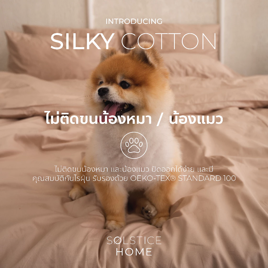 ปลอกหมอน ปลอกหมอนข้าง Solstice Home ผ้า Silky Cotton สีพื้น thumbnail 3