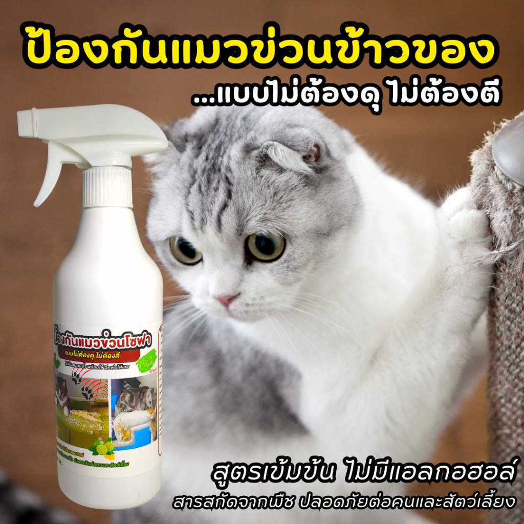 สเปรย์กันแมวข่วนโซฟา สเปรย์ไล่แมวข่วนโซฟา แบบไม่ต้องดุไม่ต้องตี 500ML กันแมวข่วนข้าวของ กันแมวฝนเล็บไม่เป็นที่
