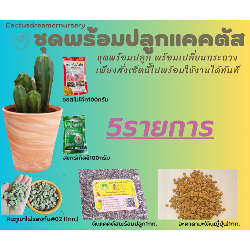 ชุดพร้อมปลูกแคคตัส(set plant cactus)