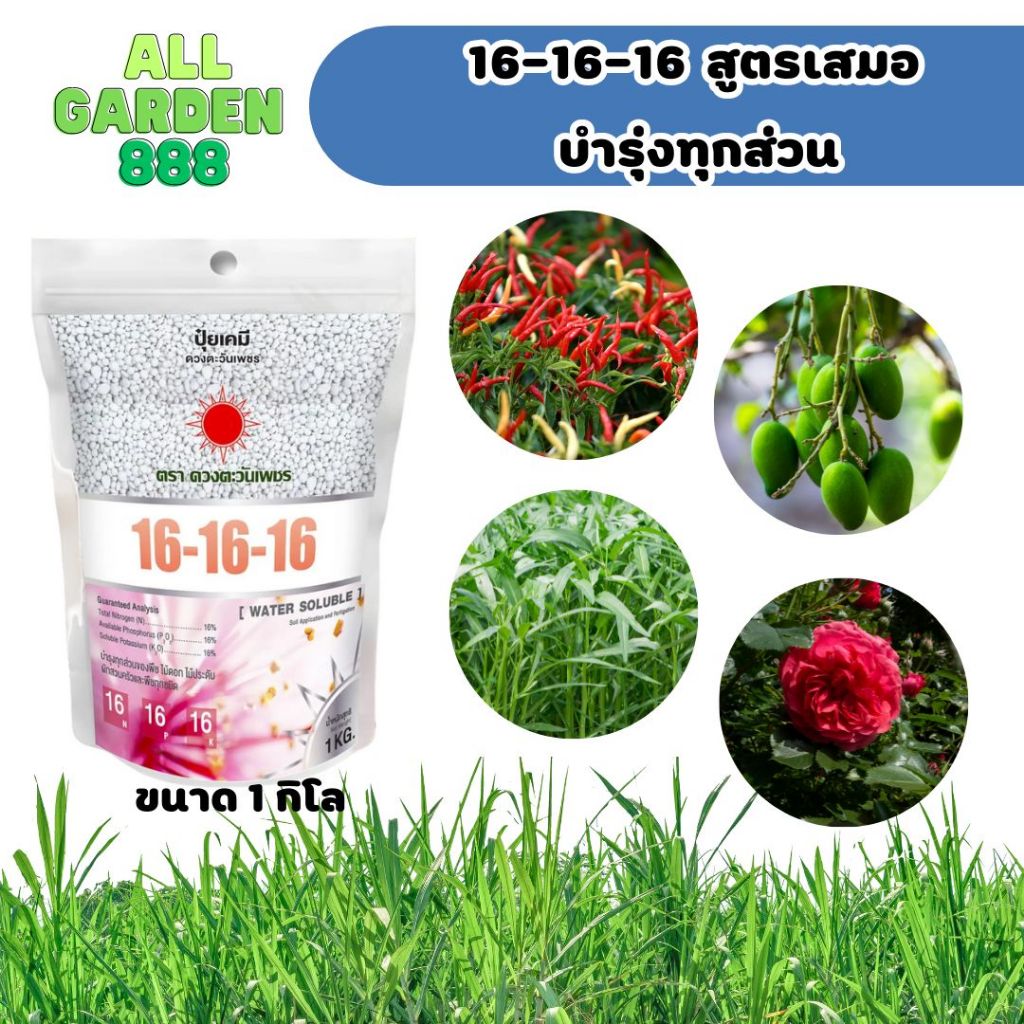 ปุ๋ย สูตรเสมอ 16-16-16 1kg ดวงตะวันเพชร
