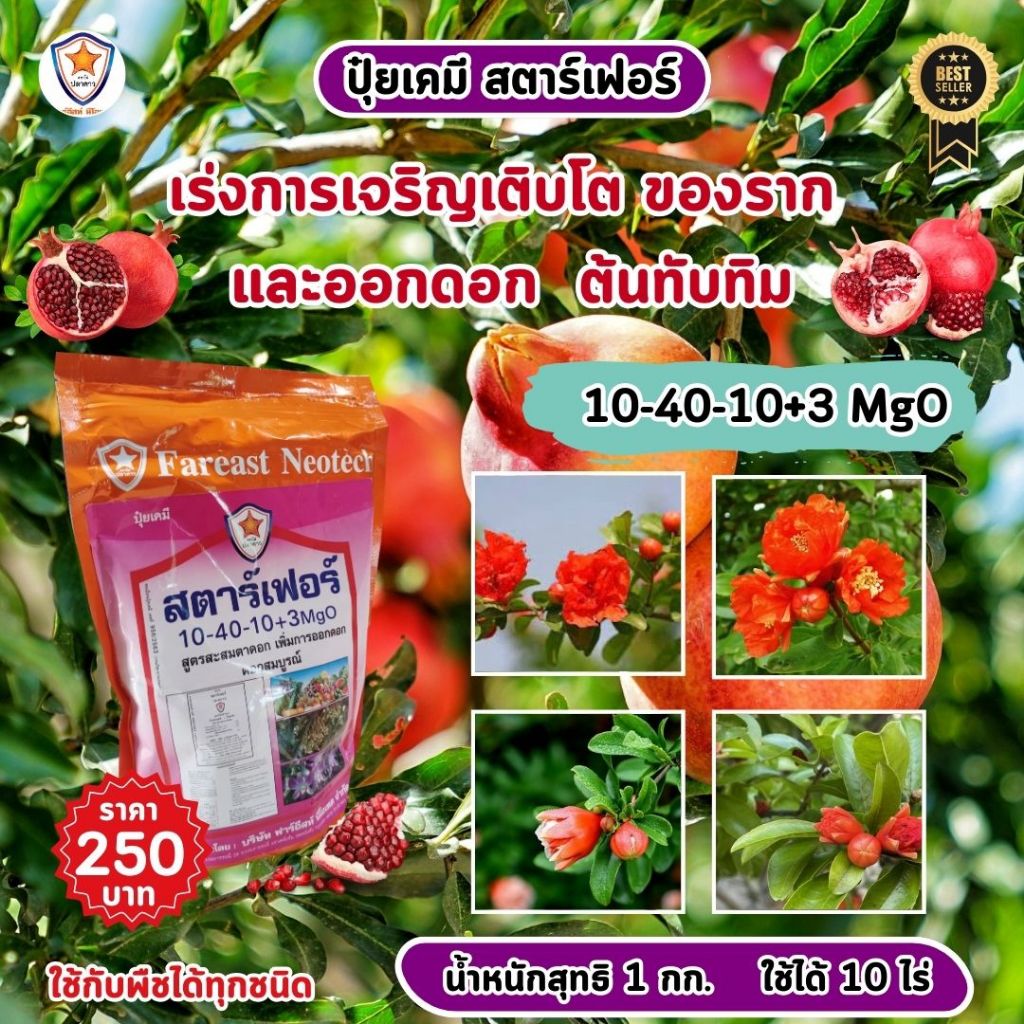 ปุ๋ยเร่งรากทับทิม ปุ๋ยเร่งดอกทับทิม สูตร 10-40-10+3 MgO ปุ๋ยฉีดพ่นทางใบ ต้นทับทิม โดย สตาร์เฟอร์ (ใช้ได้กับพืชทุกชนิด)