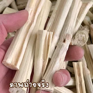 พร้อมส่ง ส่งไว!! 🔥🔥ไผ่หวาน อบแห้ง ลับฟัน สัตว์แทะ ขัดฟัน สำหรับ กระรอก หนู กระต่าย ชูก้า สัตว์เล็ก sweet bamboo แพรี่ด็