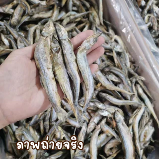 ฟรีซดรายแมว ปลาไข่ฟรีซดราย ปลาไข่ อบแห้ง ฟรีซดราย อบแห้ง ขนมแมว ขนมสุนัข freeze dried pet treat ขนมฟรีซดรายสัตว์ ขนมหมา
