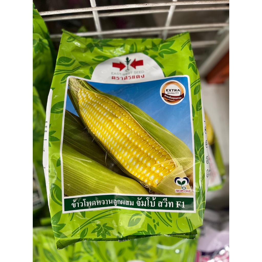 เมล็ดข้าวโพดหวานลูกผสม จัมโบ้สวีทF1 1กิโลกรัม