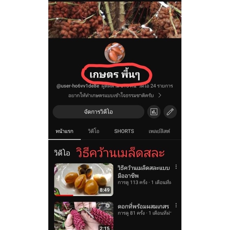 Thumbnail