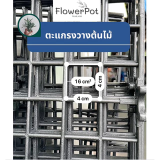 (1 อัน) ตะแกรงพลาสติก วางต้นไม้ แบบหนา
