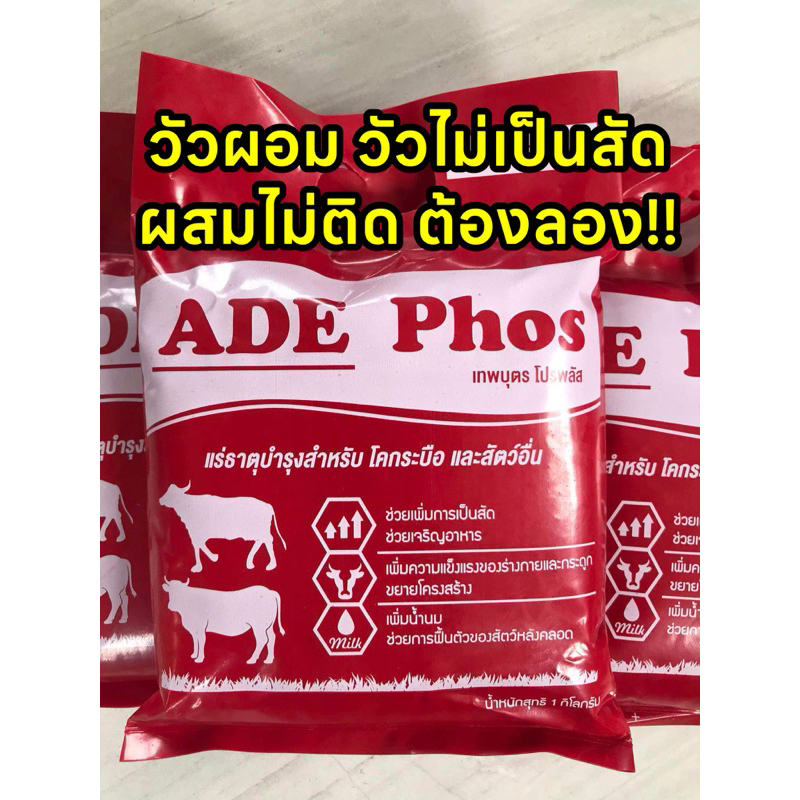 เทพบุตรโปรพลัส 1 กิโล อาหารเสริมแร่ธาตุสำหรับสัตว์มากกว่า14ชนิด