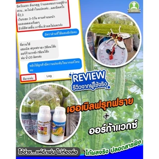 ชุดป้องกันและกำจัดแมลงวันทอง #ออร์ก้าแวกซ์ + #เฮอเบิลฟรุทฟราย ตัดวงจรชีวิต หมดสิทธิ์วางไข่ ปลอดภัยต่อผลผลิต
