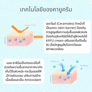 KAYU Set ชุดคู่คายู(คายูครีม+คลีนเซอร์) แก้ปัญหาผิวแห้งคัน ผิวผู้สูงอายุ ร้านofficial