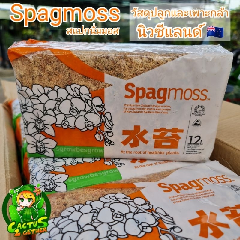 Sphagnummoss สแปกนั่มมอสแบบแห้ง 150กรัม/12L จากนิวซีแลนด์🇳🇿