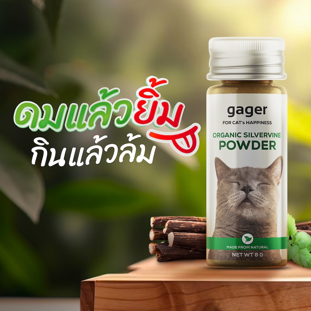 (กาเจอร์) Gager - แคทนิปแบบผงสำหรับแมว แคทนิปแบบผง ไม้มาทาทาบิ ออร์แกนิก พลังช้าง ช่วยให้แมวผ่อนคลาย