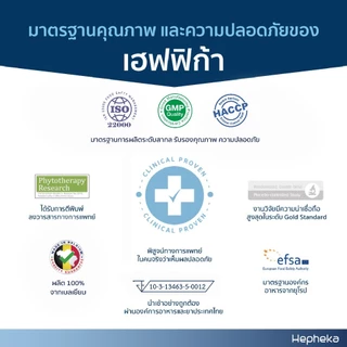 Hepheka เฮฟฟีก้า อาหารเสริมสำหรับตับจากเบลเยียม (2 กล่อง 60 เม็ด)