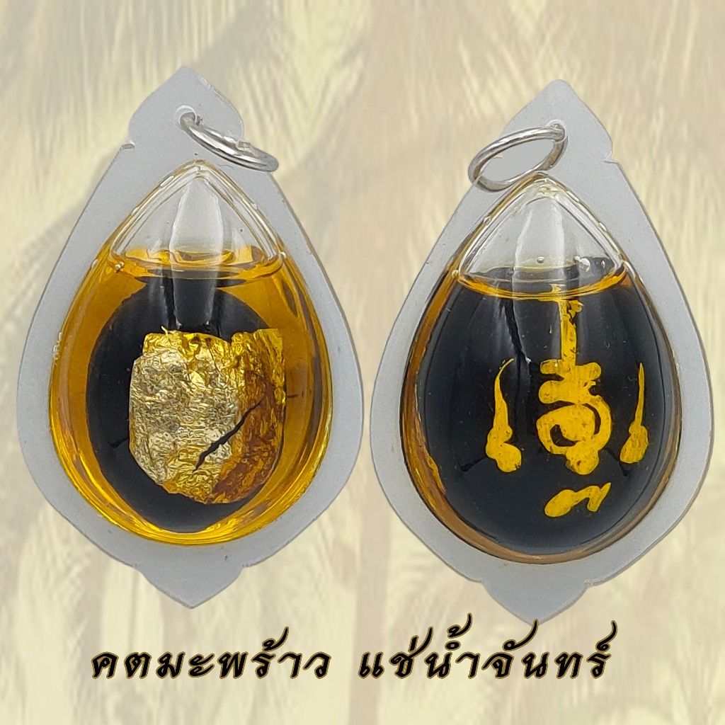คตมะพร้าว แช่ในน้ำมันจันทร์ มหานิยม มหาอุต คงกระพัน แคล้วคลาด ค้าขายร่ำรวย