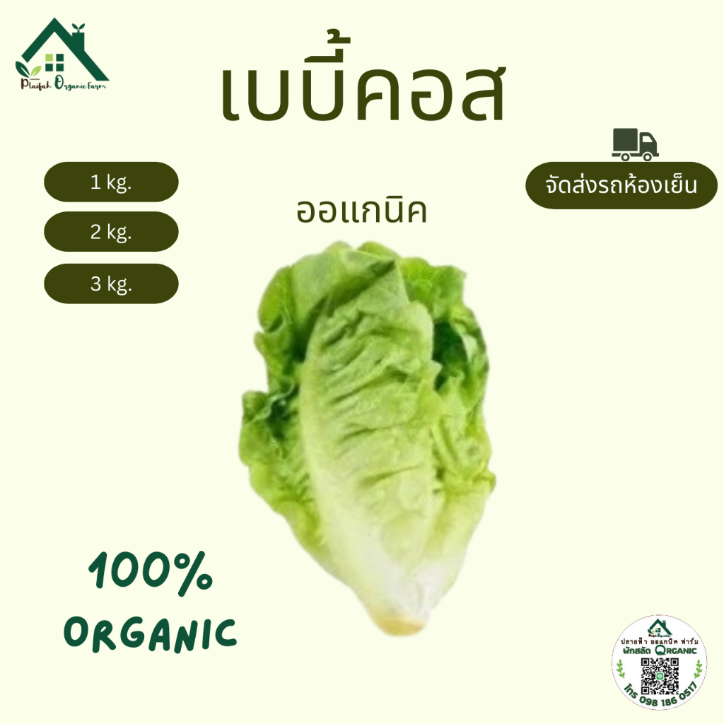 เบบี้คอส ผักสลัดออแกนิค ผักสด ปลอดสารพิษ 100% 1กก. 2กก. 3กก. ปลายฟ้าออแกนิคฟาร์ม