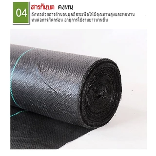 พลาสติกคลุมดิน (คลาสA) พลาสติกคลุมวัชพืช ผ้าคลุมดิน ผ้าคลุมหญ้ผ้าคลุ ป้องกันรังสีUV หมหดปัญาหญ้าขึ้นกวน 1x50 1x100 2x50