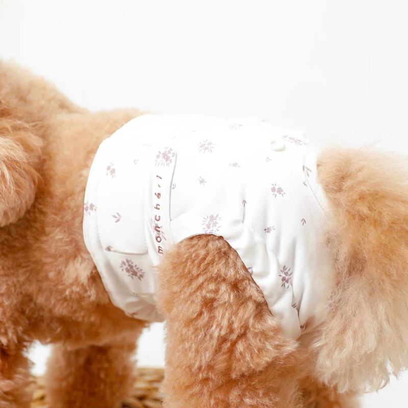 Moncheri flower panties กางเกงอนามัยสุนัข กางเกงซับประจำเดือนน้องหมา