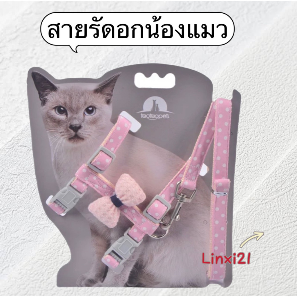 สายจูงสัตว์เลี้ยง รัดอกสัตว์เลี้ยง ของใช้แมวหมากระต่าย CC02